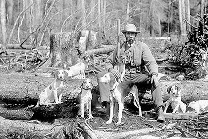 Image result for classic american hunting scenes