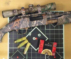 Remington copper solid sabot slugs ballistics