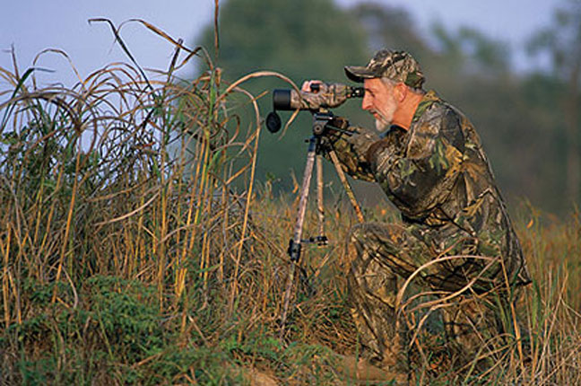 scouting-for-whitetail