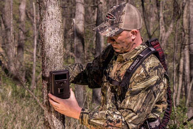 scouting-with-trail-cameras