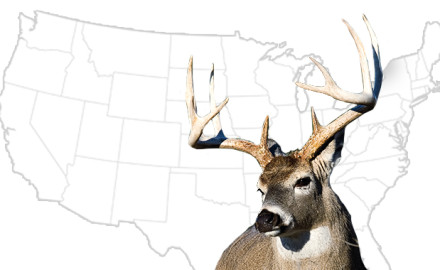 Big-Buck-States-for-2015-vs2
