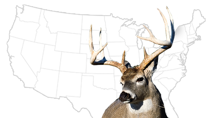 20 Best DIY Whitetail States for 2015