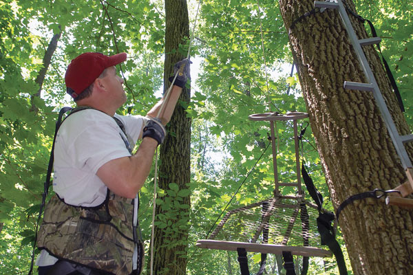 When Should You Hang Your Treestand?