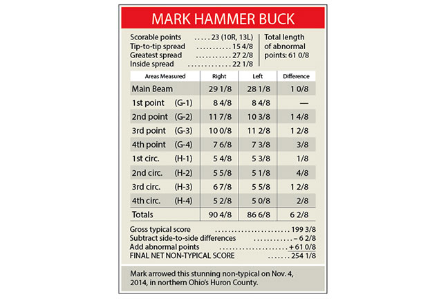Hammer-buck-score