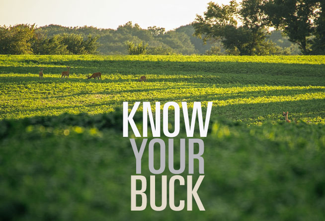 Know Your Buck