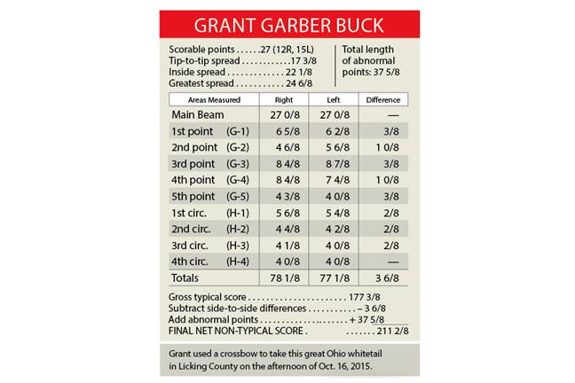 giant-ohio-buck