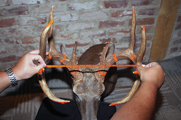 How to Score Your Buck with Trophy Tape