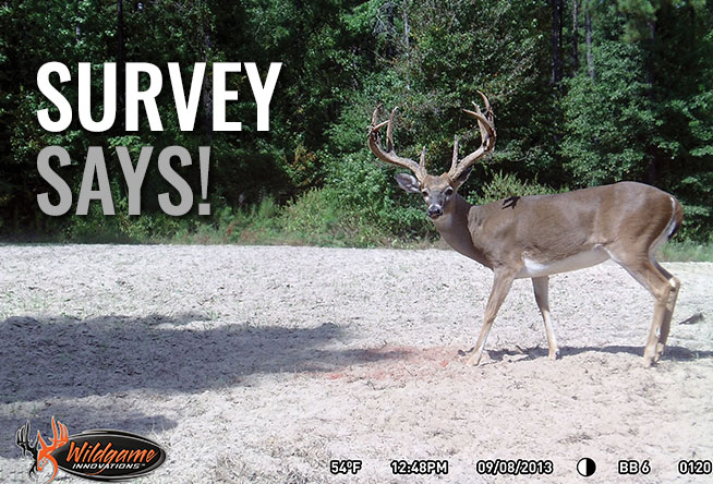 Conduct a Deer Survey for Better Hunting