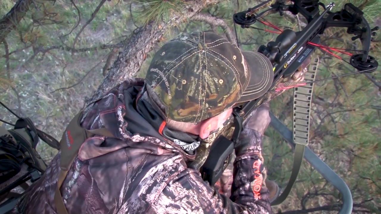 On Target: Crossbows and Whitetails