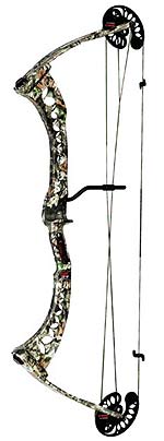 Compound Bows That Hit the Mark