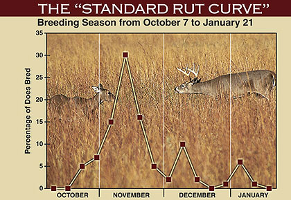 Factors That Can Impact The Rut