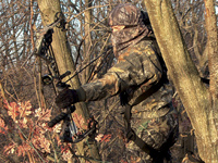 When It's Right to Over-Hunt a Treestand