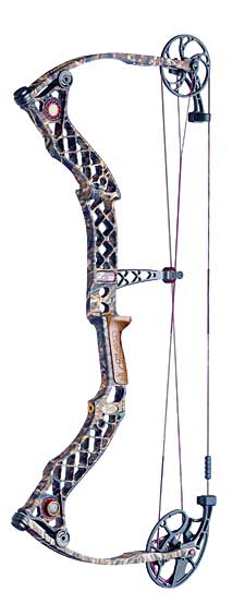 Must See Bows For The Whitetail Hunter!