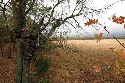Are You Overpressuring Your Best Hunting Stands?