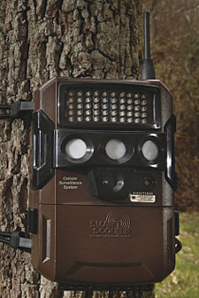 Scout Like A Pro With These Trail Cameras!