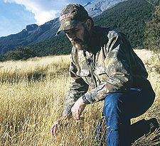 New Zealand Whitetail Hunting, Part I