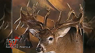 NAW TV: The "Hole in the Horn" Buck