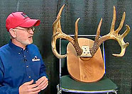 Should This Buck Have Been Scored as the Largest Typical Ever?