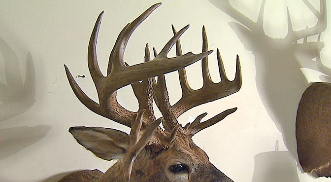 Big Buck Profile: Paul Hein's 218 0/8 Iowa Giant