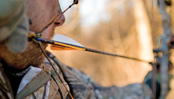 NAW's Best New Compound Bows of 2013