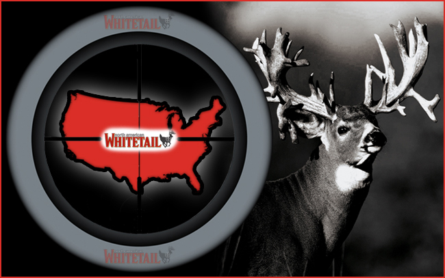 Best States for Whitetail Hunting in 2013