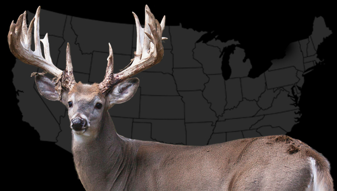 10 Best Big Buck States for 2013