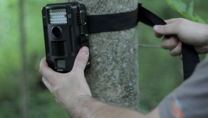 Your Guide To Using Trail Cameras