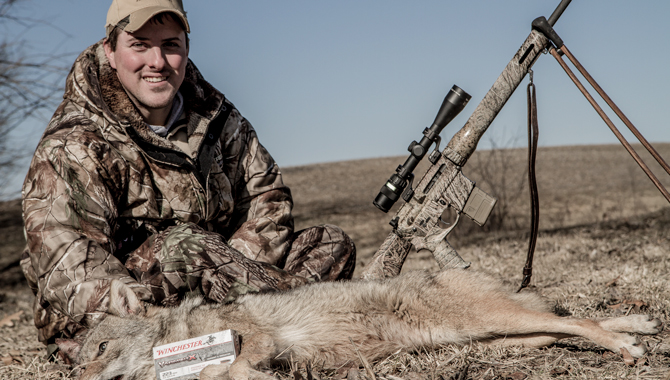 10 Best ARs for Predator Hunting