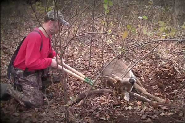 Muzzy Moment: Hunter Frees Trapped Buck