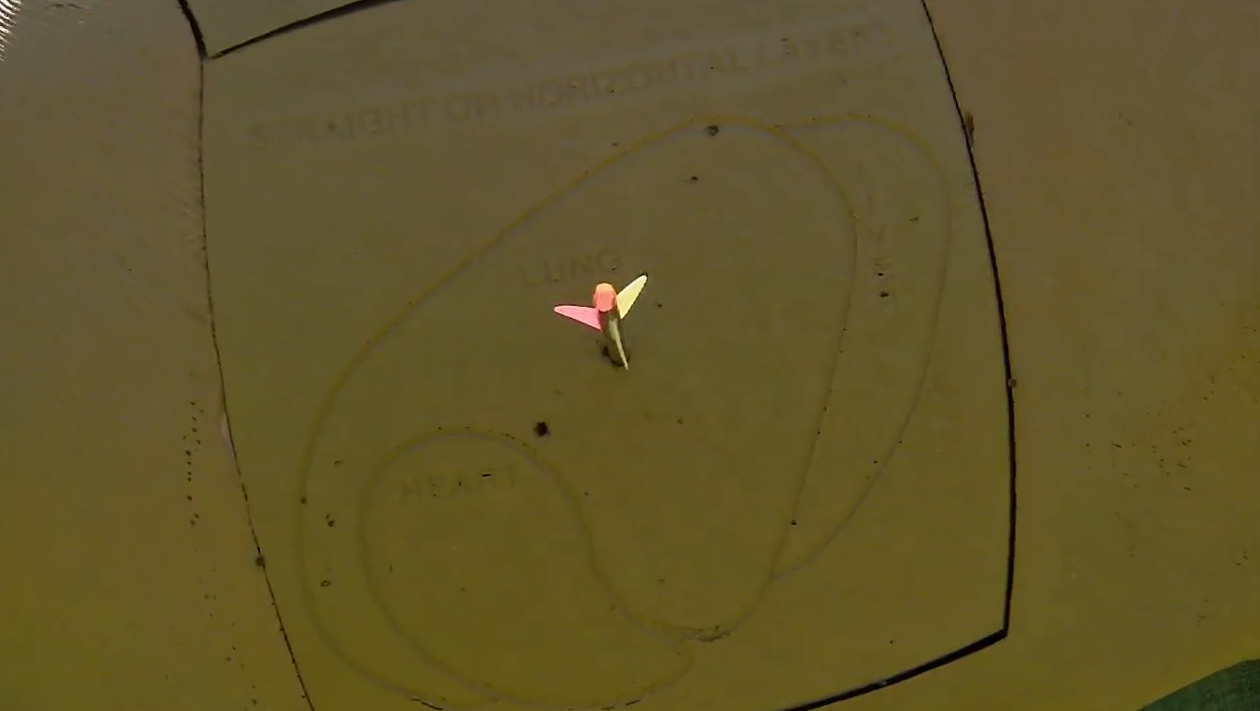 From the Stand: Arrow Shot Placement