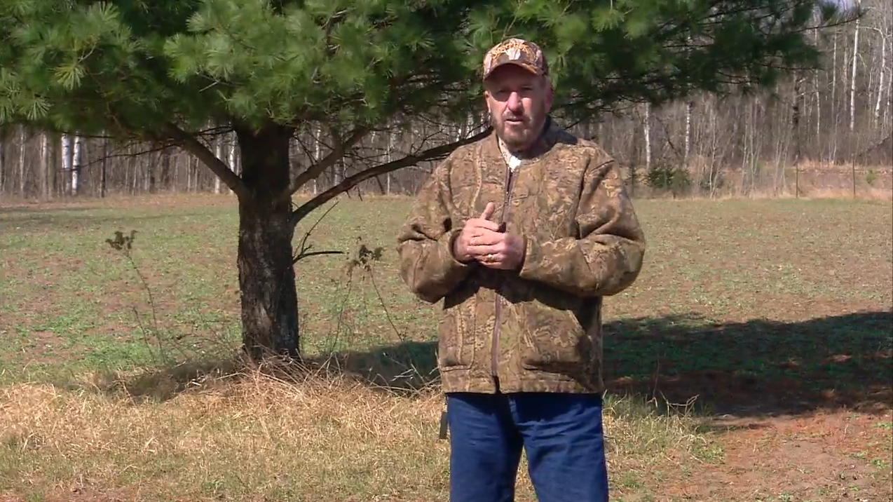 Dr. Deer: Using Corn as Supplemental Feed for Whitetails