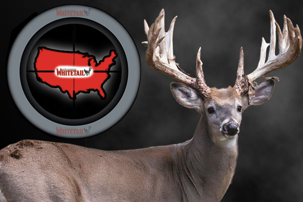 20 Best Whitetail States for 2014