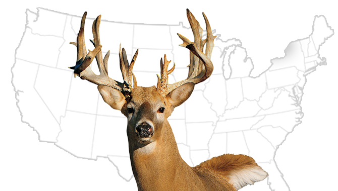 20 Best Whitetail States for 2015