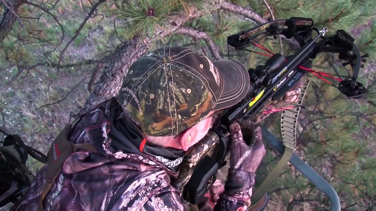 On Target: Stopping a Deer While Using a Crossbow