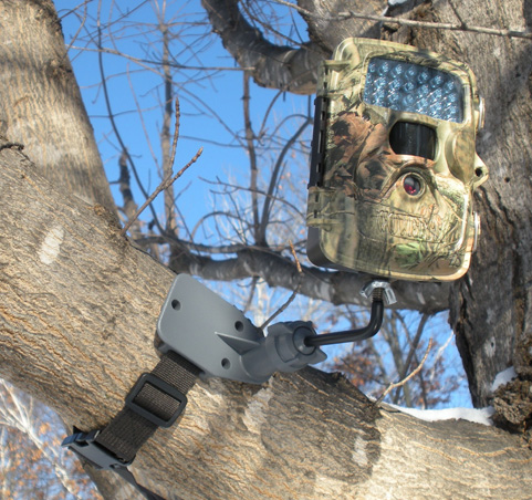 Trail camera mounted high in tree